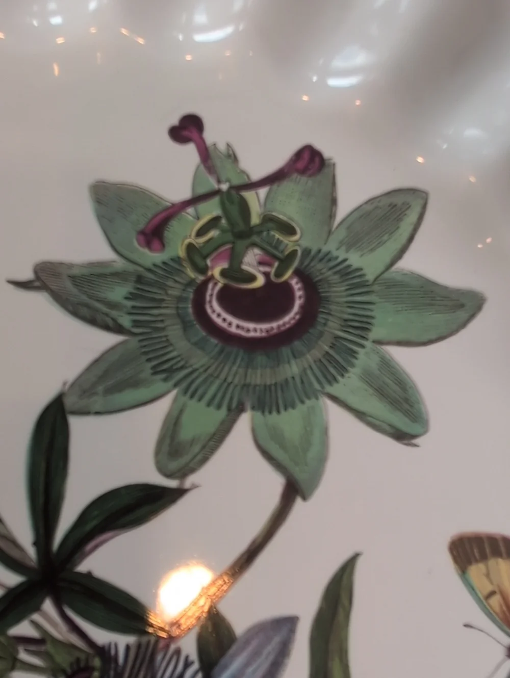 Vintage Portmeirion Fully Vitrified Botanic Garden Blue Passion Flower Oven Dish